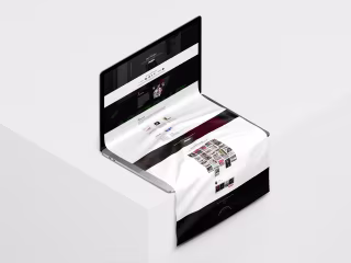 Doman Sapi tiktokker portfolio website.