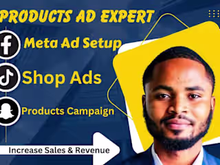 I will setup ads tiktok products facebook ads campaign snapchat…