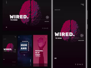 Wired to Rise