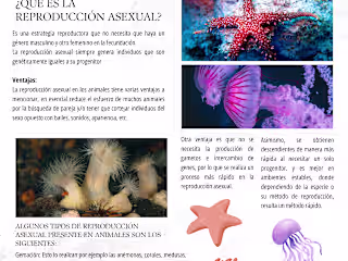 Infographics