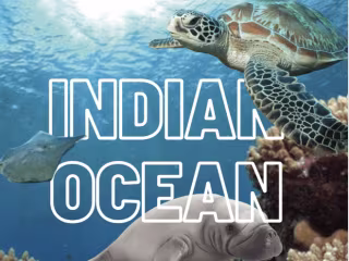 Indian Ocean Zoo Poster