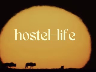 Digital Nomads: Hostels 101