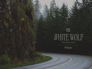 White Wolf | Creative Photography