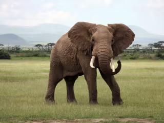 Mocking PostgreSQL queries in Node.js