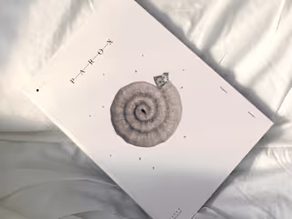 Creative Direction & Identity - Magazine
