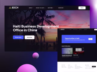 BUREAU OF COMMERCE AND DEVELOPMENT OF HAITI IN CHINA-WEB DESIGN