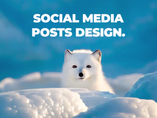 Social Media Posts Designs
