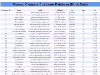 Efficient Data Entry: Organization, Input & Management