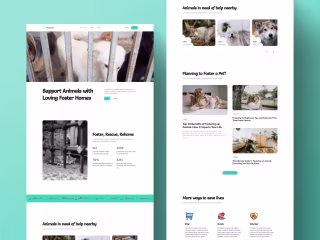 Webflow | NPO for Animal Foster