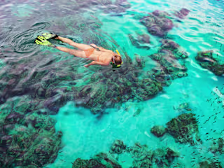 The 5 Best Snorkeling Spots on Oʻahu in 2024