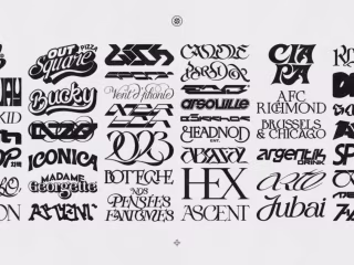 Logotype & Lettering work