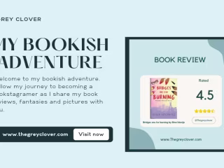 Bridges are for Burning: Book Review
