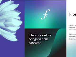 FLOMONI - Visual Identity