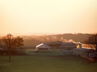 FARMHOOD FIELDS — LEXI