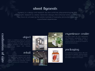 FIGMENTS BROCHURE