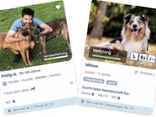 fairDogs Dog-Sharing and Personality Testing Platform
