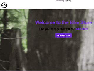 The Bike Store
