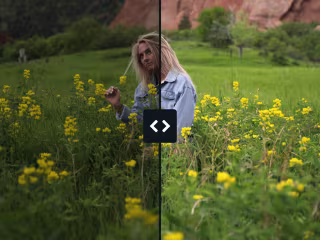 EyeQ Imaging Inc. Digital Assets