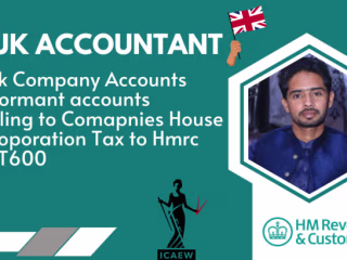 I will file UK company accounts and ct600 tax return