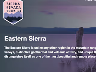 Website copy for local client