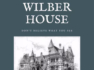 Mystery Novel