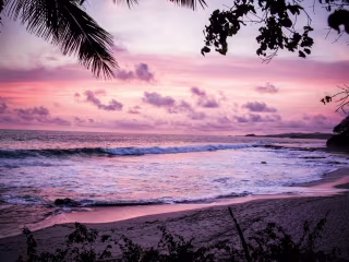 Romantic Black Beach Read to Add to Your Collection