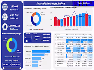 Financial Budget and Sales Analysis