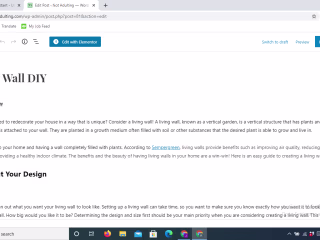 WordPress Blog Editing