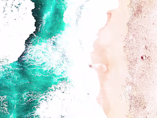 How to Create New Habits & Become a Conscious Consumer