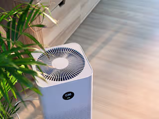 Best Humidifier for Wood Floors