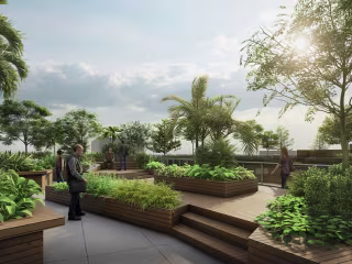 Rooftop Landscape Design