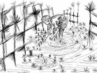 Sketches and Illustrations :: Behance