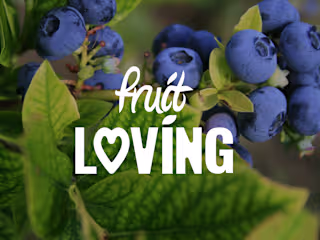 Fruit Loving Food Brand Branding & Brand Identity