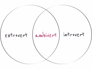 Shanaya Engineer on LinkedIn: Stuck in the middle