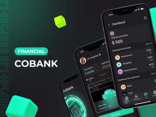 Mobile application development for a FinTech company