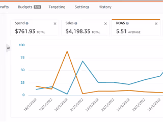 Amazon PPC Campaign
