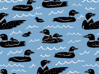 Illustration and Surface Pattern Design 