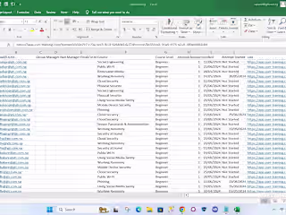 Excel Entry