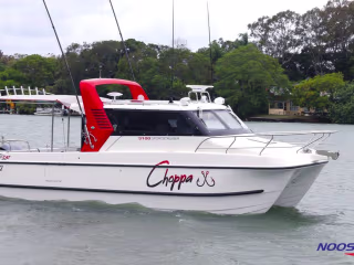 Decal Design for Noosa Cat Australia
