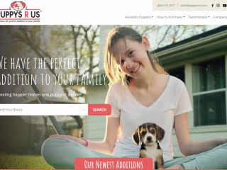 Designer & Purebred Puppies for Sale | Puppys R Us
