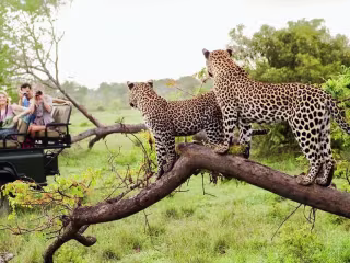 13 incredible South Africa experiences for your bucket list