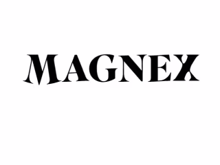 Framer website for MAGNEX.ca