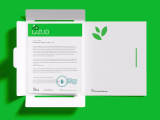 Lizud Logo & Brand Identity Design