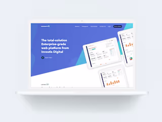 Website Design and Visual Identity for Connect.ID