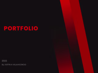 SocMed Management Portfolio