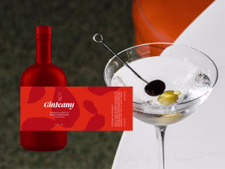 Modern, Vibrant NA Gin Brand & Packaging GinJeany