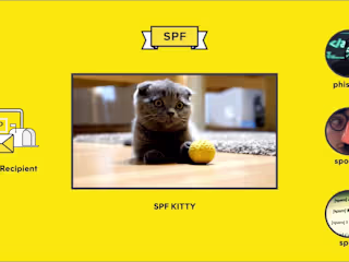 What is SPF? It's a cat. Well, no. But maybe!