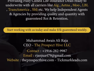 Take your business to heights with our professional Services