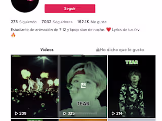 Social Media Management: Focus TikTok