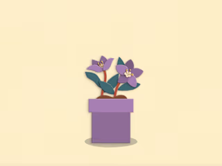 Short Motion Graphic